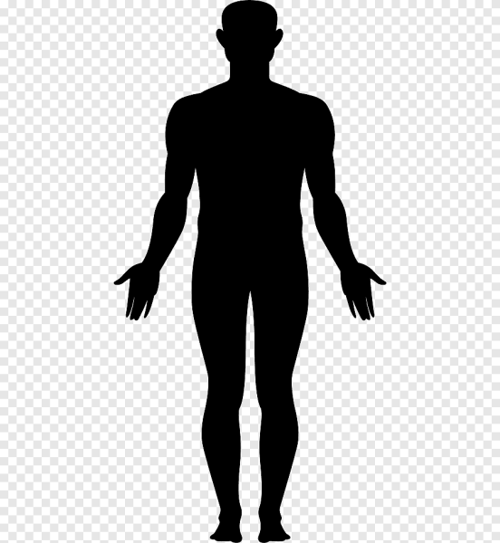 Очертание человека