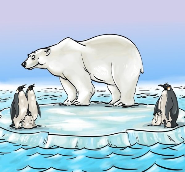 Белый медведь на льдине