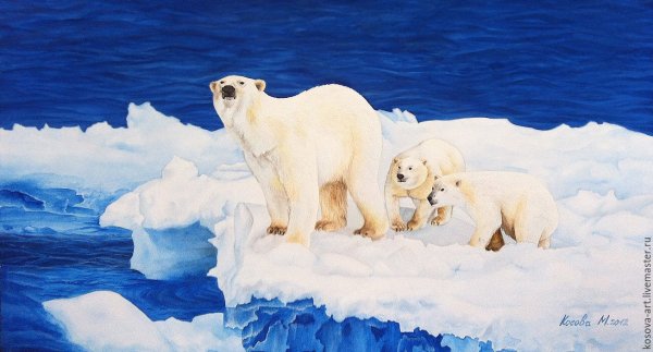 Северный полюс для детей