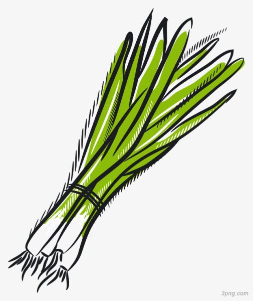 Зеленый лук вектор