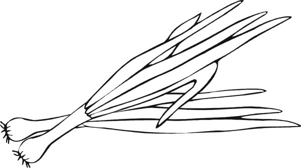 Раскраска лук батун