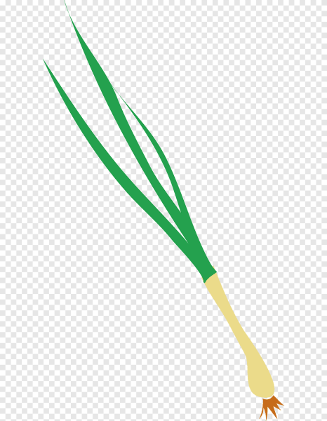 Зеленый лук вектор