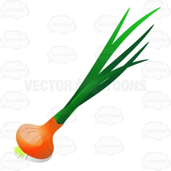 Зеленый лук для детей