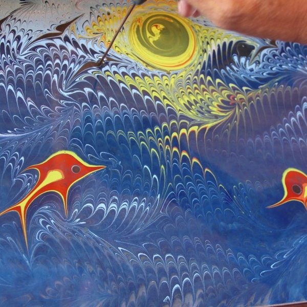 Медуза эбру