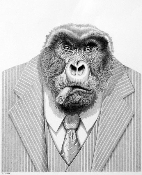 Маршал горилла