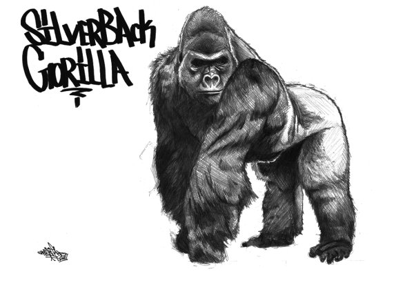 Горилла для детей