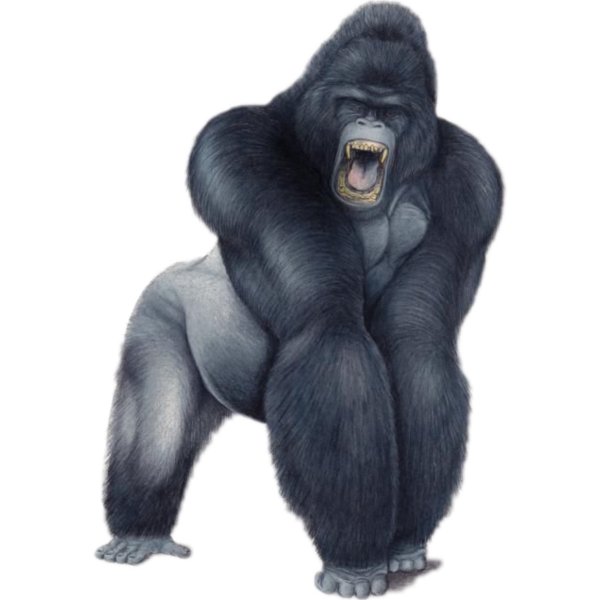 Горилла мультяшная