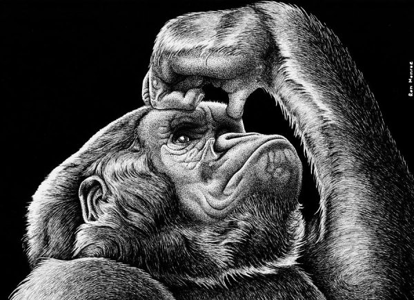 Горилла Кинг Конг