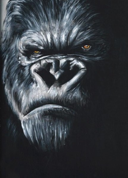 Горилла иллюстрация