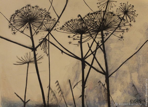 Ботаническая живопись борщевик