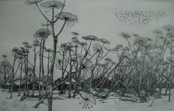 Ярославцев офорт