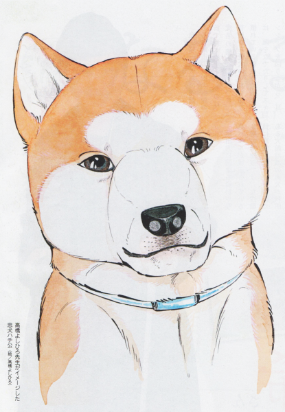 Акита ину референс