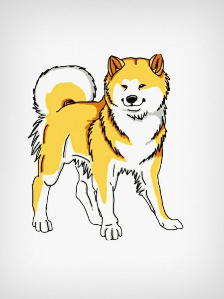 Акита ину иллюстрация