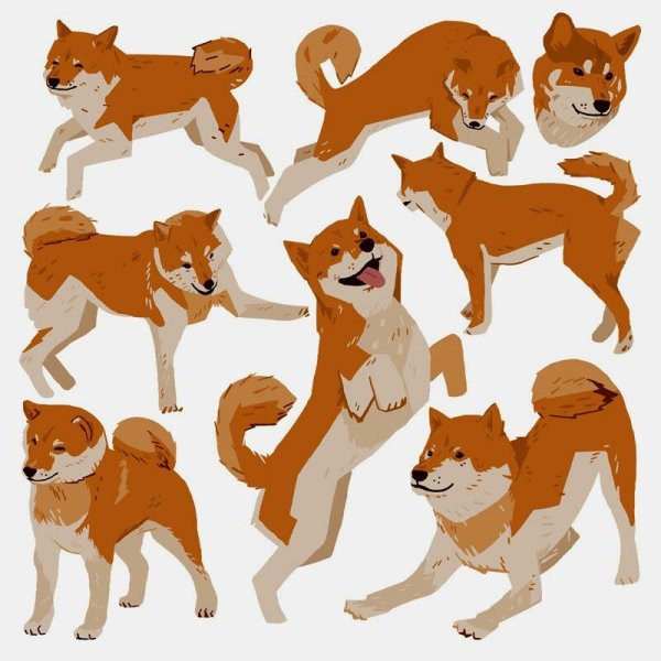 Акита ину референс