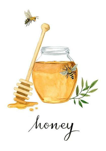 Мед рисунок