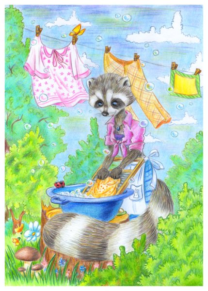 Енот полоскун Прачечная