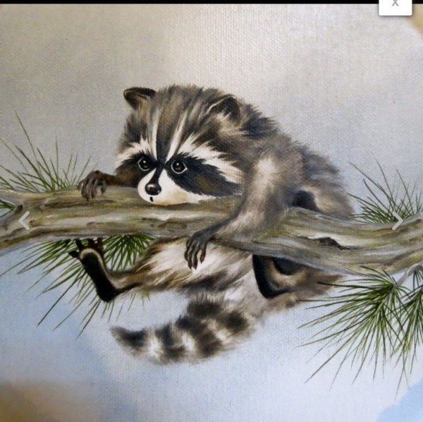 Енот с веточкой