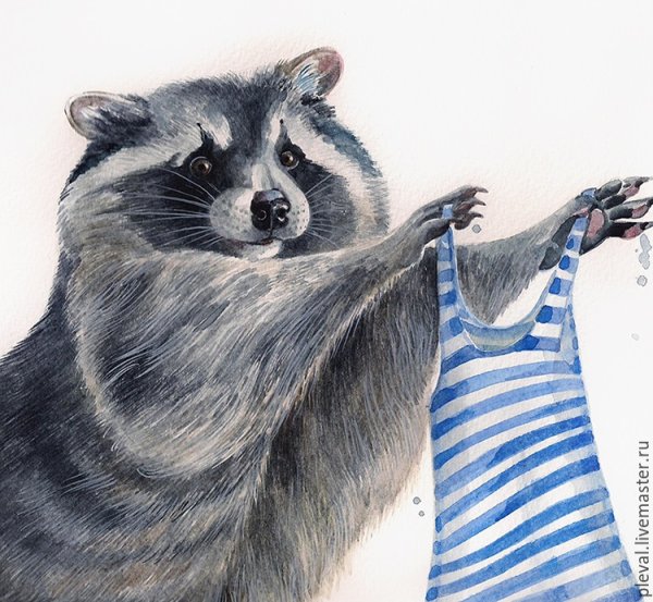 Пловецкая Татьяна акварель еноты