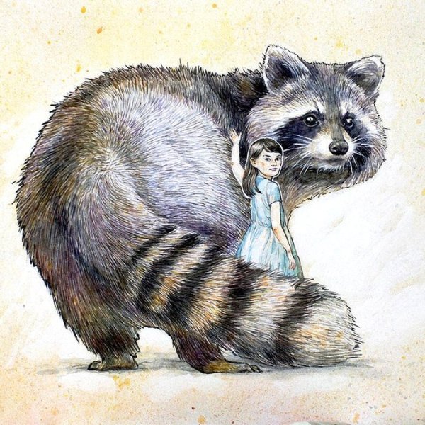 Енот полоскун референс