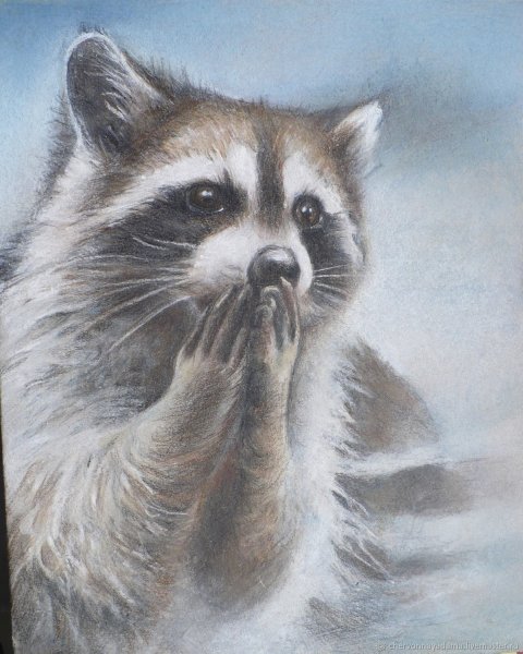 Енот полоскун портрет