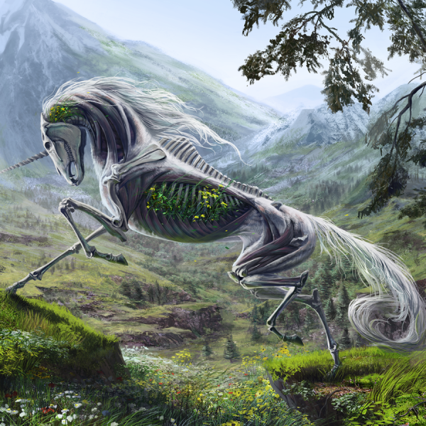 Экология рисунок