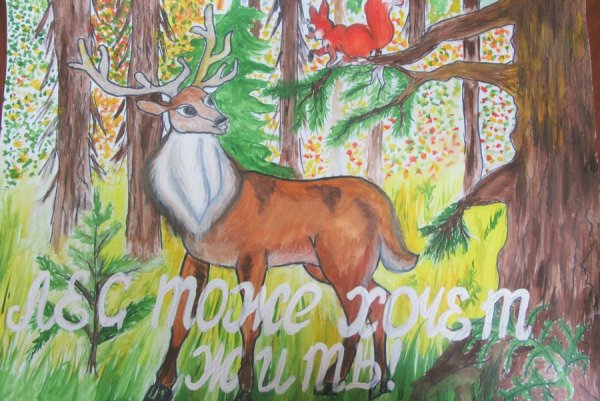 Рисунок на тему экология