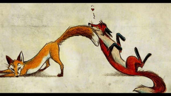 Culpeo-Fox (Анита Ульрих )