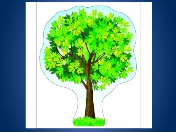 Плакат вырубной "клен