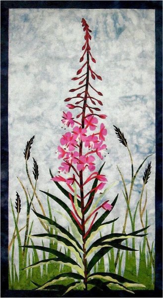 Кипрей (Иван-чай) гербарий