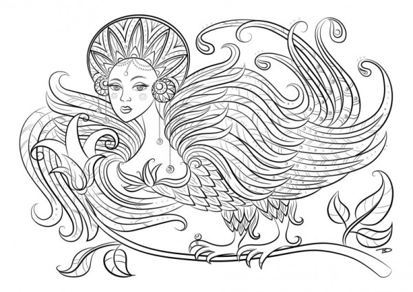 Птица Сирин и алконост