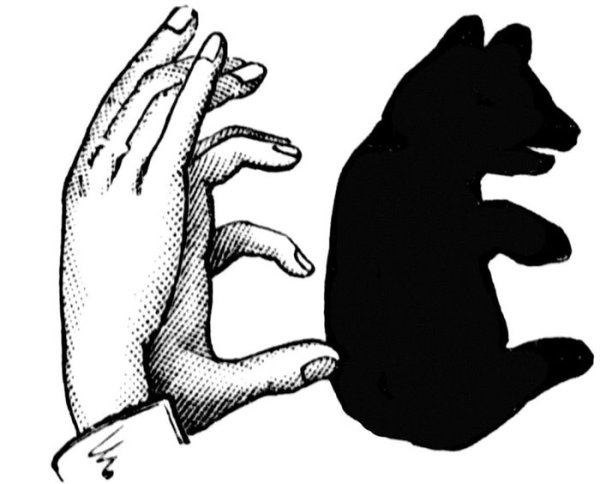 Театр теней медведь пальцами