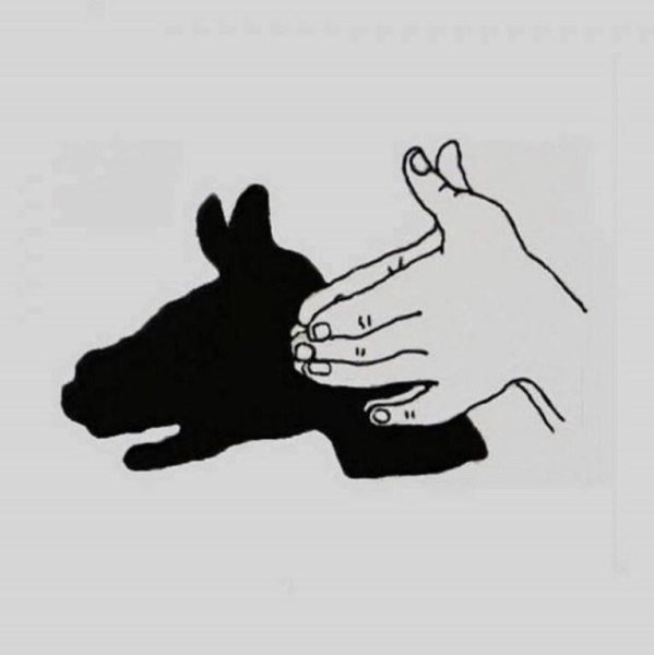 Тени животных руками