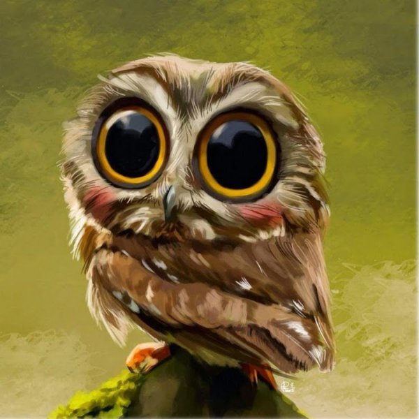 Милая Сова в очках