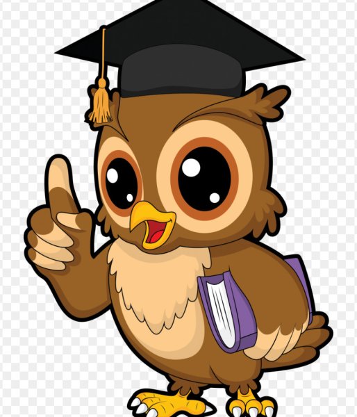 Мудрая Сова