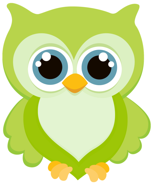 Совушка на белом фоне