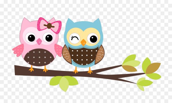 Совята мультяшные