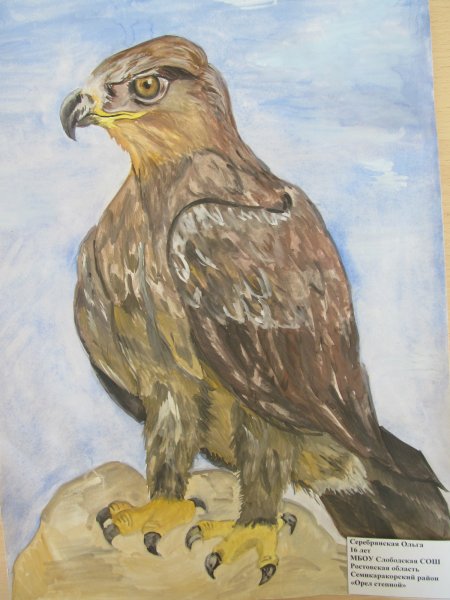 Рисование животных степей