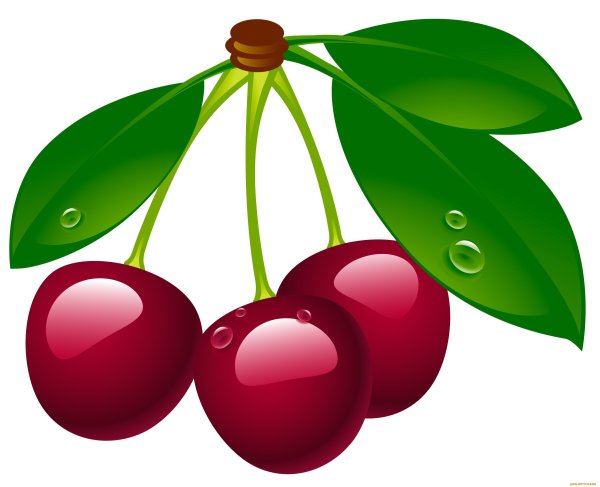 Вишня для детей