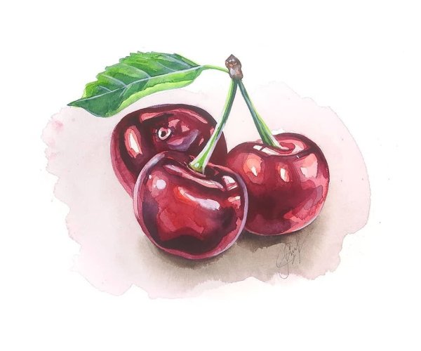 Черешня акварелью