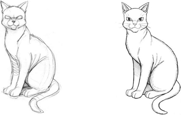 Кот сидит рисунок