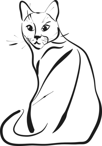 Кошка рисунок Графика