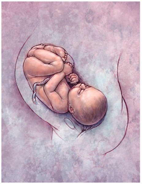 Плацентарная недостаточность