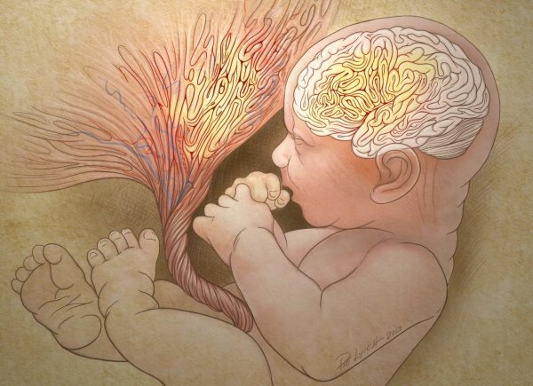 Беременность иллюстрации