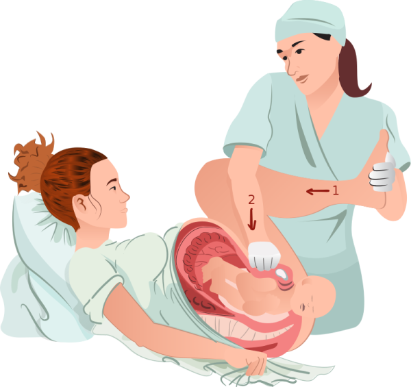 Роды мультяшные