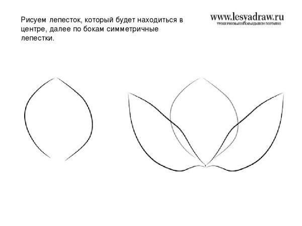 Лепестки для рисования