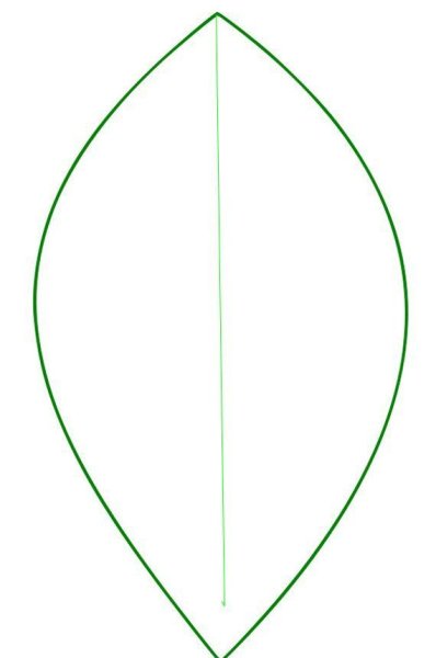 Лепесток цветка