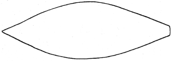 Цветок с лепестками для раскрашивания