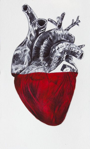 Человеческое сердце акварелью