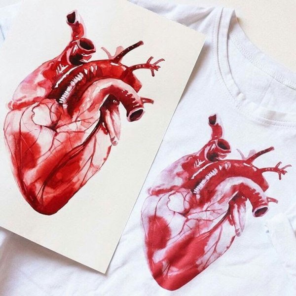 Человеческое сердце арт