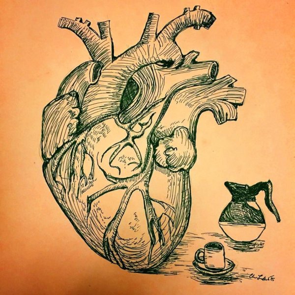 Человеческое сердце в цветах